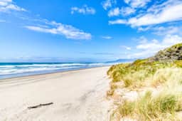 Modern Dog Friendly Cottage in a Great Location Minutes to Downtown and Beach