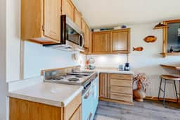 Beachfront dog friendly studio with amazing Proposal Rock view steps to the sand