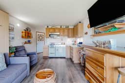 Beachfront dog friendly studio with amazing Proposal Rock view steps to the sand