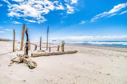 Coastal room near the beach and downtown dog friendly