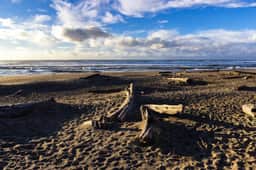 Newly Remodeled Condo with Marvelous Ocean Views Nearby Beach Access Dogs OK