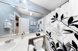 Dog Friendly Room with Full Kitchen Walk to the Beach and Downtown