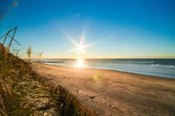 Dog Friendly Oceanview Condo with Great Location and Nearby Beach Access