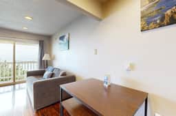 Dog Friendly Oceanview Condo with Great Location and Nearby Beach Access