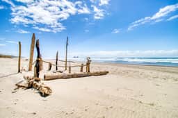 Dog Friendly Room Located Near the Beach and Downtown