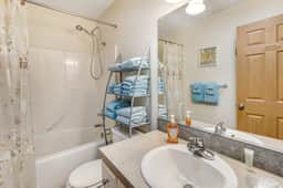 Dog Friendly Home Just a Half Mile Walk to the Beach and Heart of Town