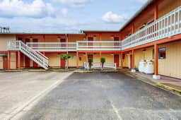 Dog Friendly Spacious Room Located Near the Beach and Downtown