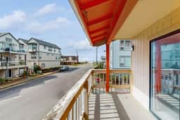 Dog Friendly Spacious Room Located Near the Beach and Downtown