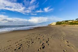 Upper Floor Oceanview Studio Perfect for Couples Free WiFi Dogs Allowed