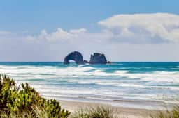 Welcoming dog friendly retreat near beach parks and Lake Lytle