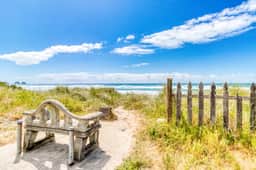 Ideally Located Room Near Downtown and the Beach Dog Friendly