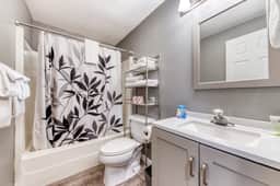 Two Room Combination Close to Downtown and Beach Dogs Welcome
