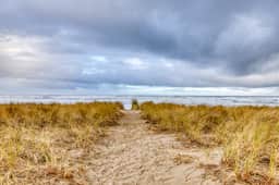 Dog friendly oceanfront house with wood burning fireplace deck and beach access