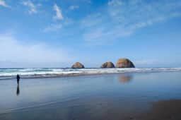 Dog friendly beach home ideal for entertaining with 2 fireplaces and great kitchen