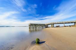 Dog Friendly Condo with Partial Ocean Views Short Walk to the Beach