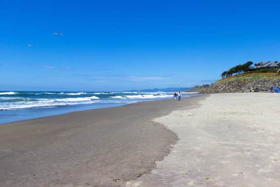 Charming oceanfront studio with easy beach access and stunning ocean views