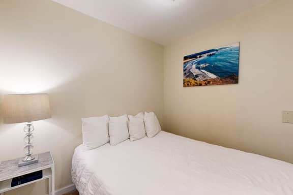 Dog Friendly Condo with Stunning Ocean Views and Easy Beach Access