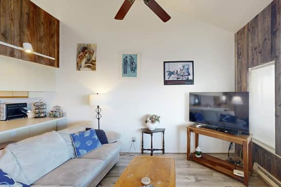 Dog Friendly Waterfront Loft with Seawall and Ocean Views One Block to Harbor