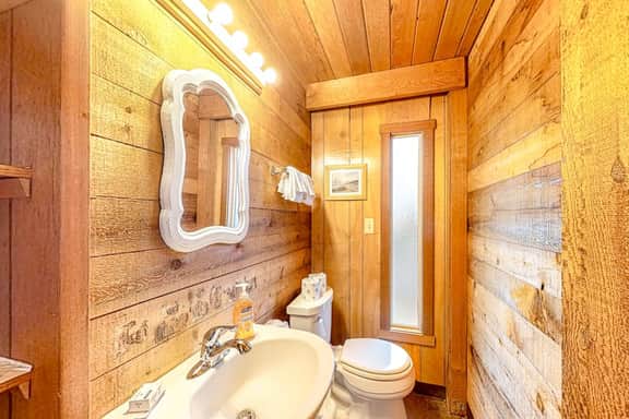 Dog friendly home with wetlands view deck fireplace outdoor shower
