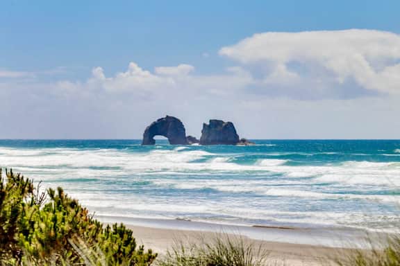Welcoming dog friendly retreat near beach parks and Lake Lytle
