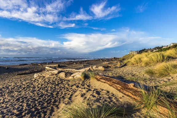 Oceanview Studio on the Main Level Nearby Beach Access Dogs Welcome
