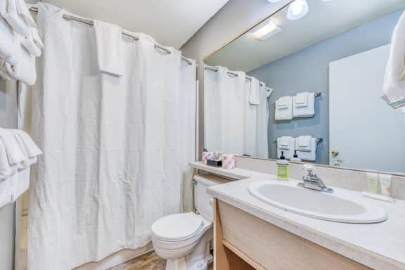 Eight Dog Friendly Rooms with Kitchens and Kitchenettes Walk to Downtown and Beach