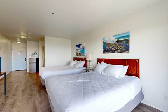Oceanview Dog Friendly Studio with Awesome Views and Easy Beach Access