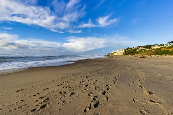 Oceanview Studio on the Main Level Nearby Beach Access Dogs Welcome