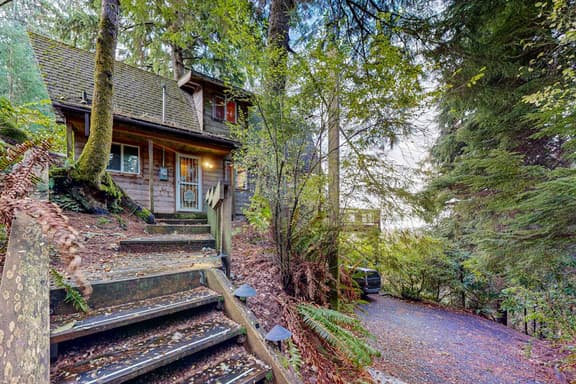 Dog friendly cabin with ocean view fast WiFi fireplace and washer dryer